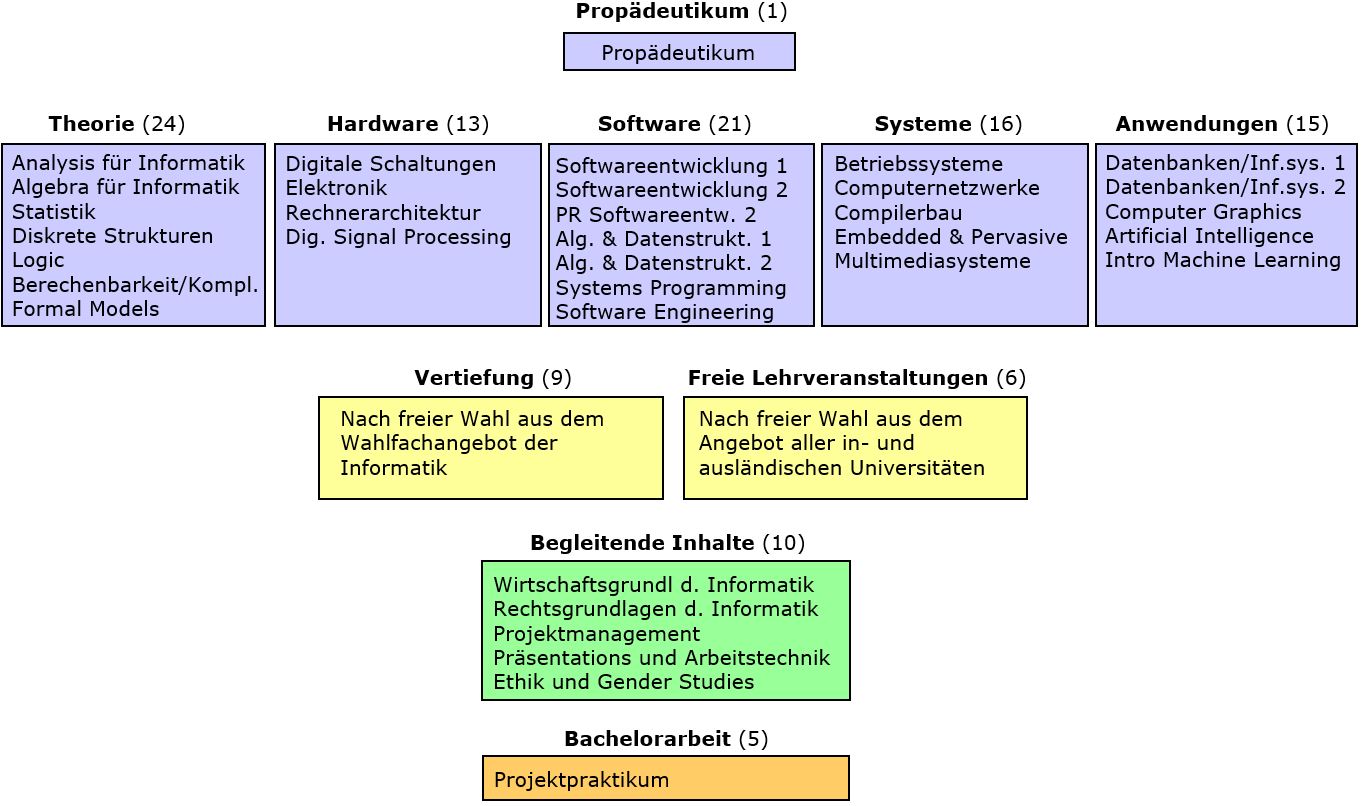 Die Struktur des Bachelorstudiums